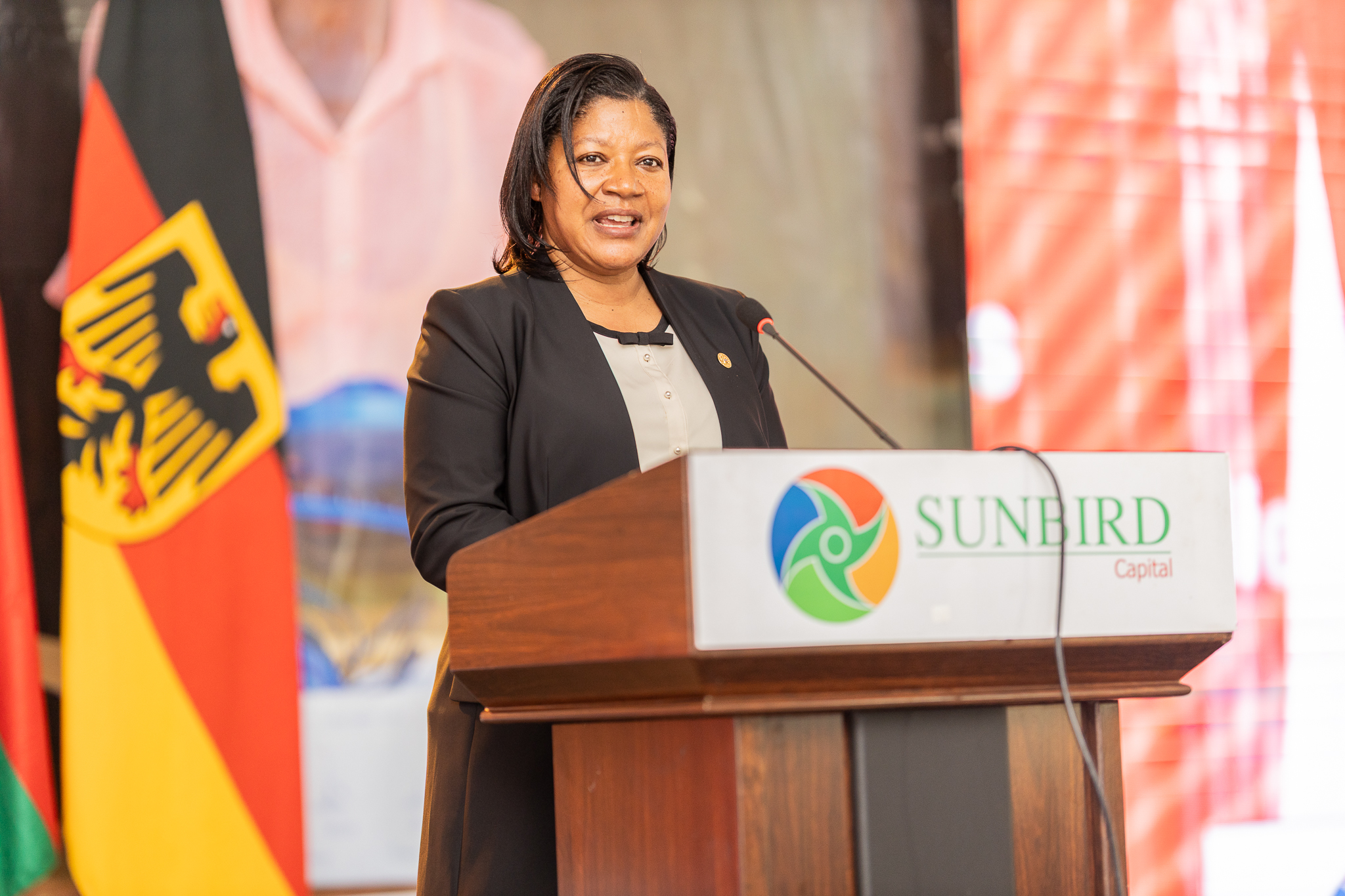 subsidies for affordable energies with solar products and improved ...