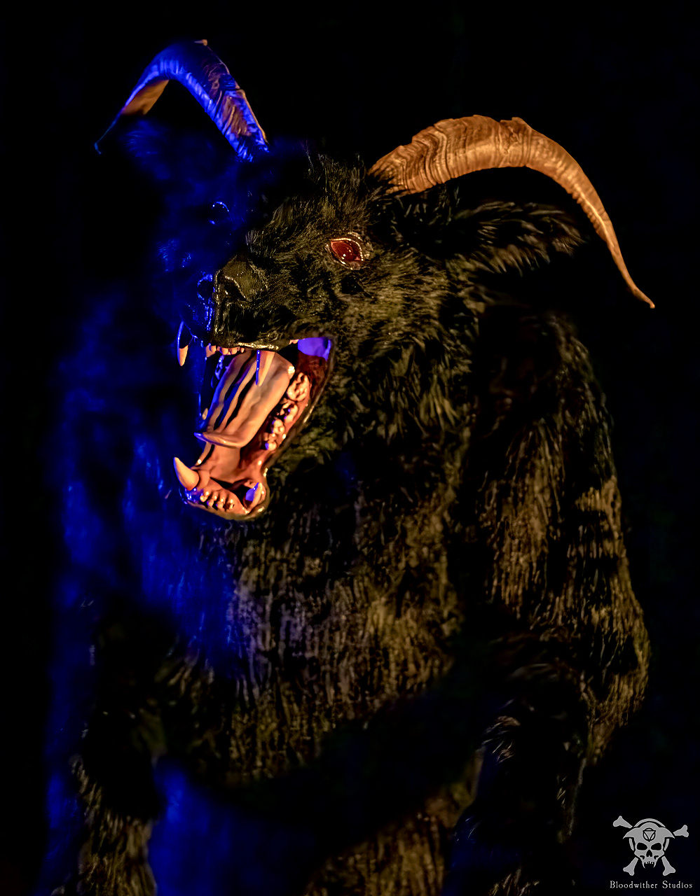 Bloodwither Studios
