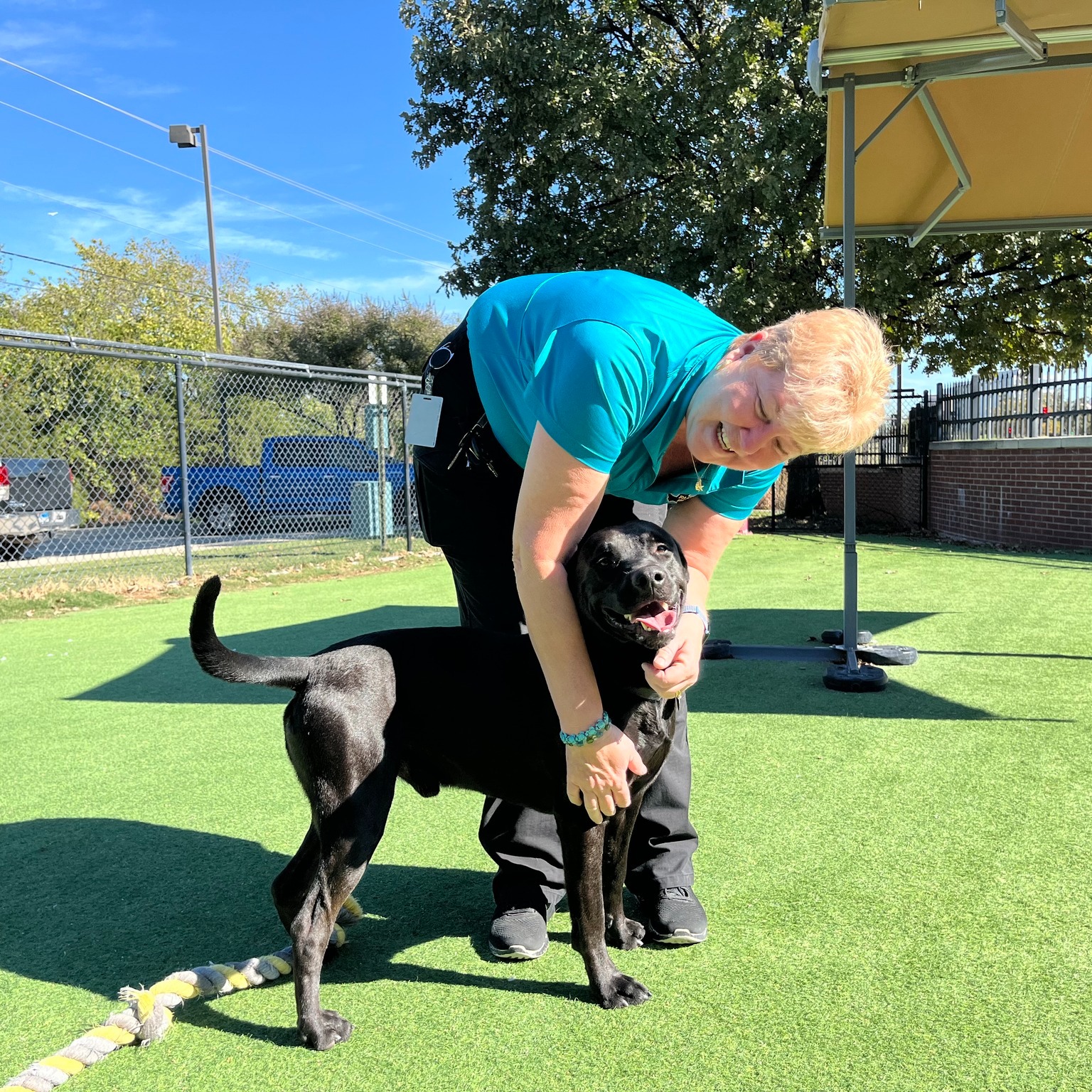 🐾 PAW ENFORCEMENT: Meet... - Farmers Branch Police Department