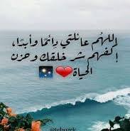 Ghadeer Ayyoub